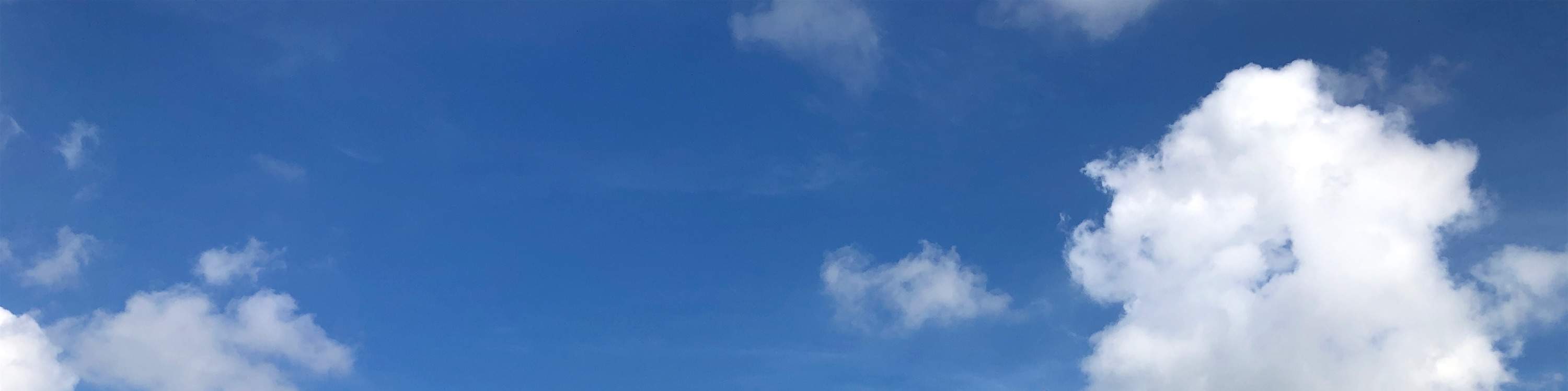 Chiayi: Esperienza di pesca ricreativa presso l'Azienda Agricola Ittioica Xiang He